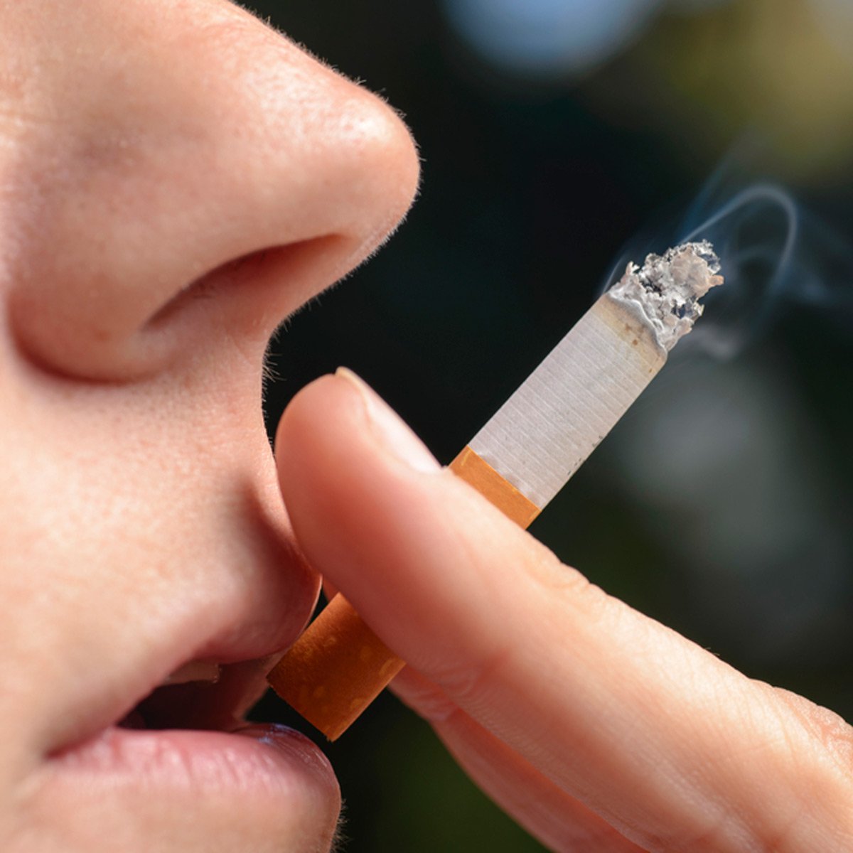 click for next image... slideshow image